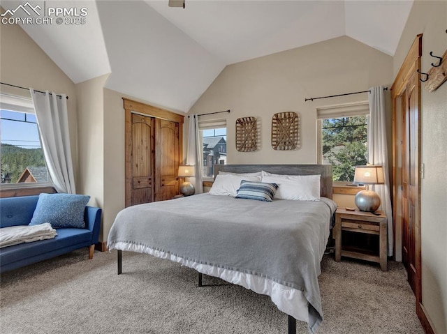 bedroom with lofted ceiling, multiple windows, a closet, and light colored carpet