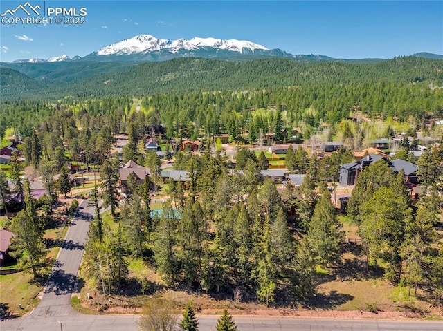 aerial view featuring a mountain view and a wooded view