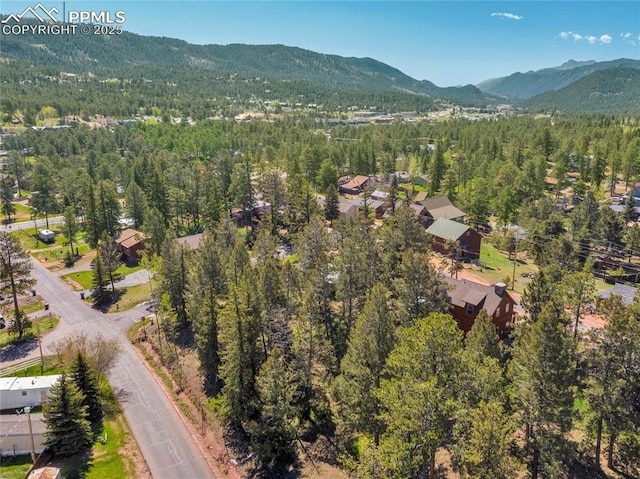 drone / aerial view featuring a mountain view and a view of trees