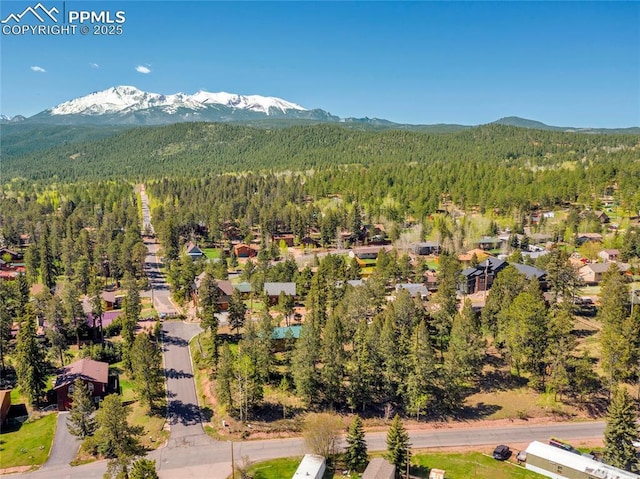 birds eye view of property with a mountain view and a view of trees