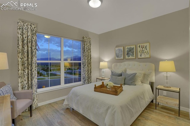 bedroom with wood-type flooring