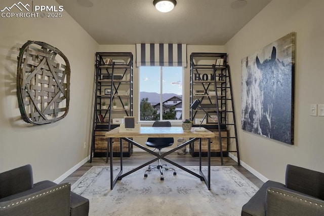 office featuring wood-type flooring