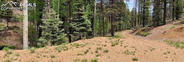 620 Steep Rd, Manitou Springs CO, 80829 land for sale