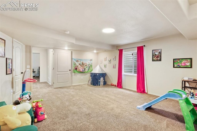 playroom with light carpet