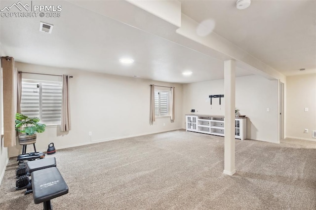 basement featuring carpet floors