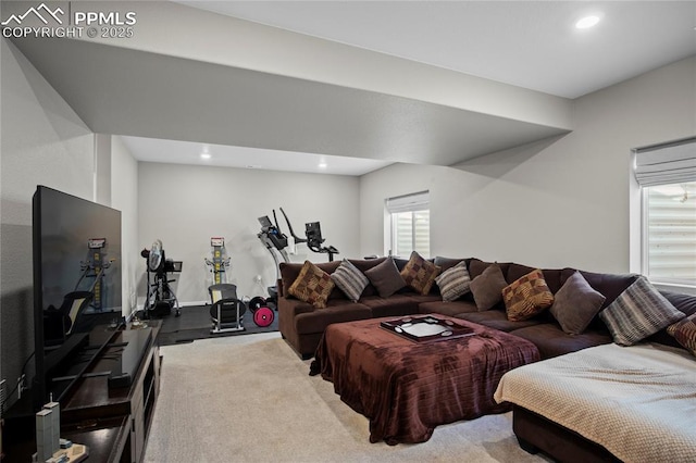 living room with light carpet