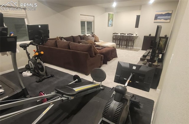 exercise room featuring carpet