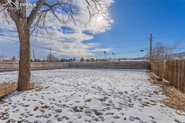 view of yard covered in snow