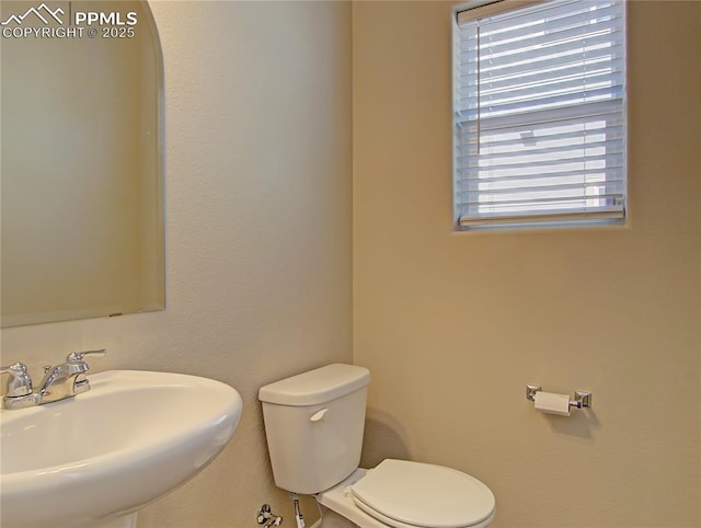 bathroom featuring sink and toilet