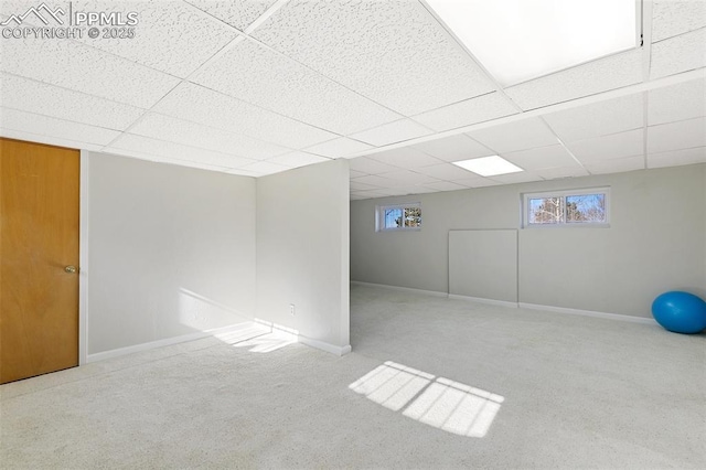 basement featuring carpet flooring and a drop ceiling