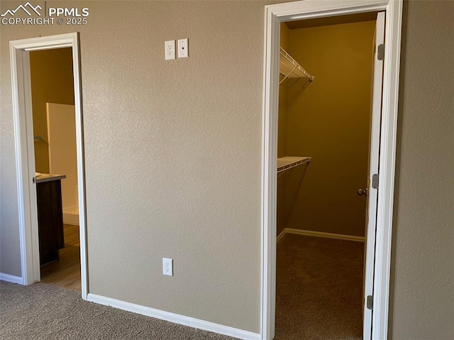 walk in closet featuring carpet flooring