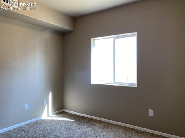 spare room with carpet floors and a wealth of natural light