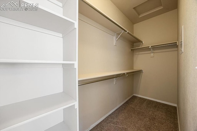 spacious closet with dark carpet