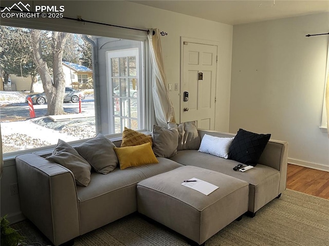 living room with hardwood / wood-style flooring