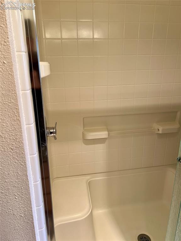 bathroom featuring walk in shower