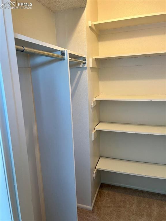 walk in closet with dark colored carpet