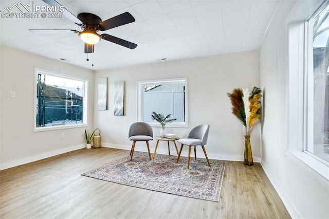 sitting room with ceiling fan and light hardwood / wood-style flooring