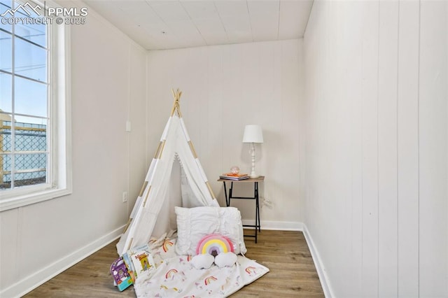 recreation room featuring hardwood / wood-style floors