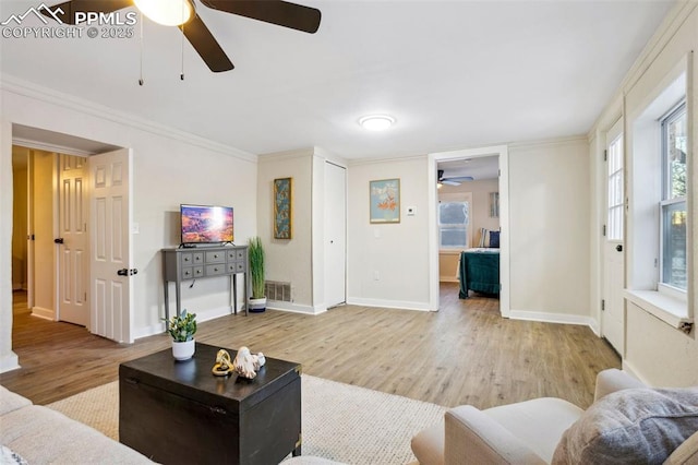 living room with crown molding, a wealth of natural light, and light wood-type flooring