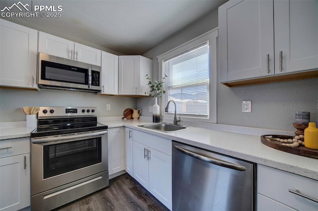 kitchen featuring white cabinetry, sink, dark wood-type flooring, and stainless steel appliances