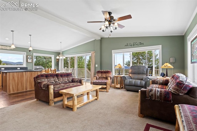 living room with carpet floors, ceiling fan with notable chandelier, vaulted ceiling with beams, and a wealth of natural light