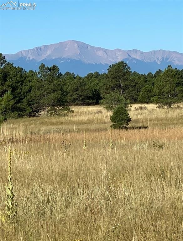 11340 Goodson Rd, Colorado Springs, CO 80908