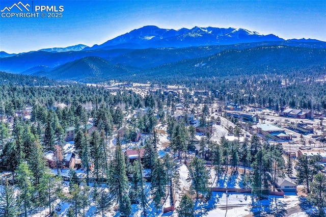 snowy aerial view featuring a mountain view