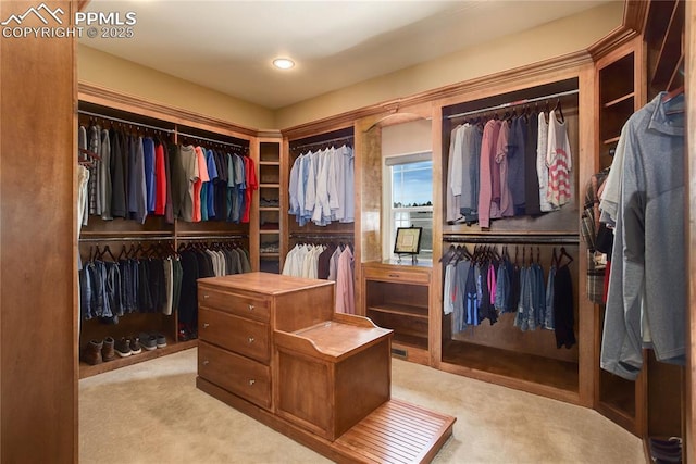 spacious closet with light colored carpet