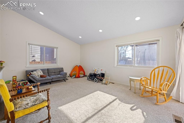 interior space with lofted ceiling