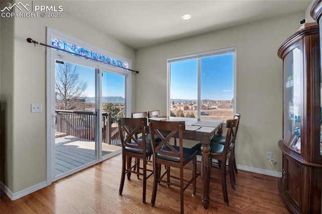 dining space featuring hardwood / wood-style floors