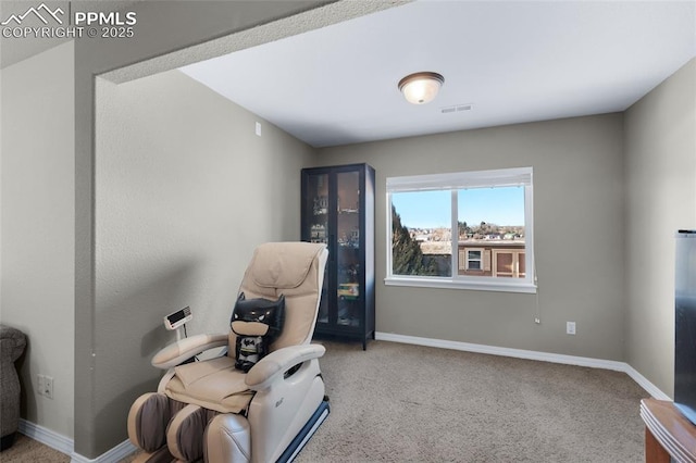 living area featuring carpet flooring