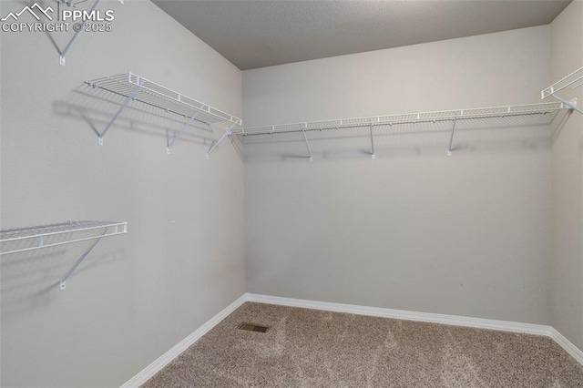 walk in closet featuring carpet and visible vents
