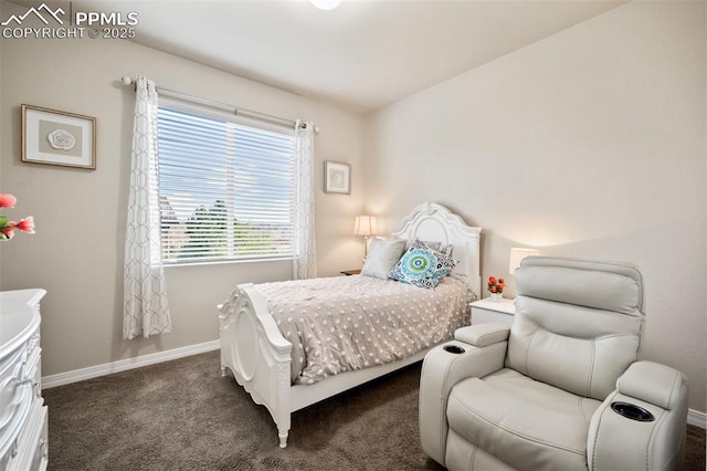 bedroom featuring dark carpet