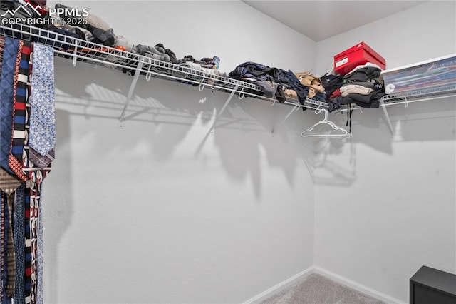 spacious closet featuring carpet