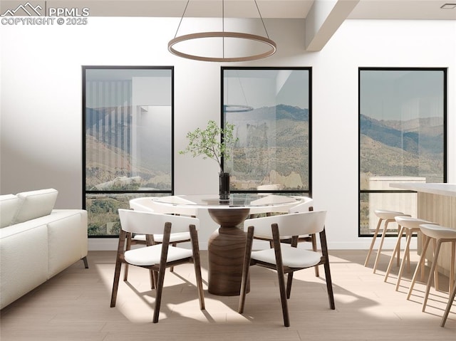 dining area with a mountain view and light hardwood / wood-style floors