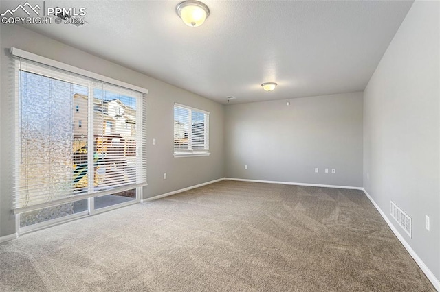 view of carpeted spare room