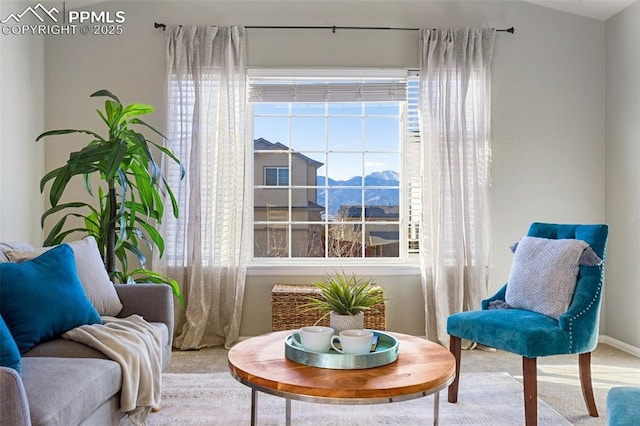 living area featuring a mountain view and carpet floors