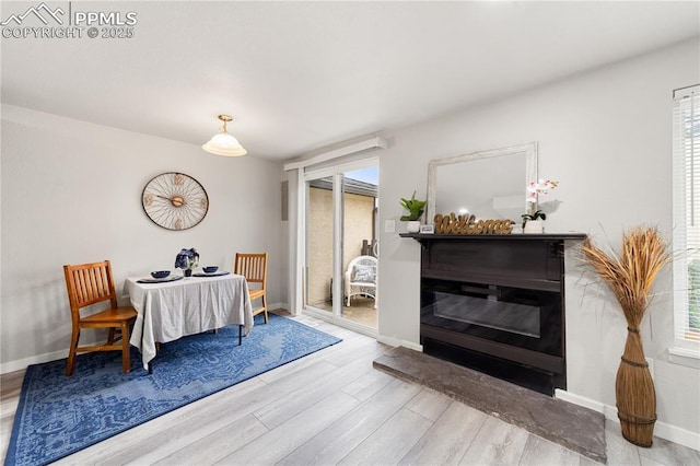 dining space featuring a fireplace and light hardwood / wood-style floors