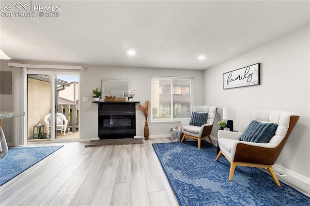 living area featuring hardwood / wood-style floors