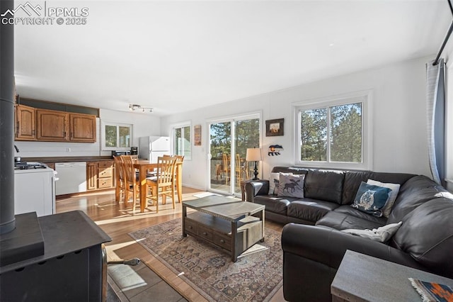 living room featuring a wood stove and hardwood / wood-style floors