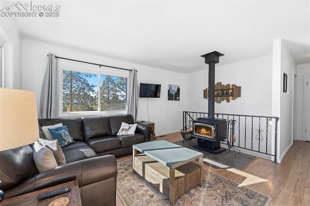 living room featuring wood-type flooring and a wood stove