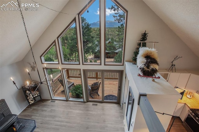 interior space featuring a wealth of natural light, vaulted ceiling, and light wood-type flooring