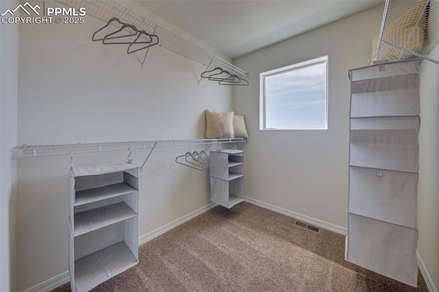 spacious closet featuring carpet