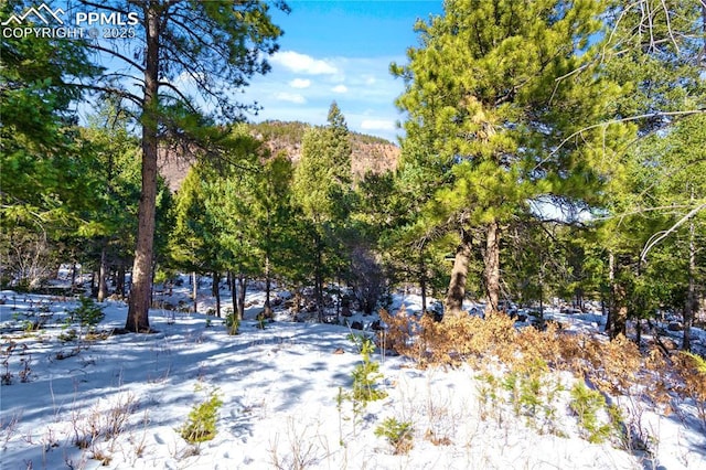 0 Rock Ridge Rd, Palmer Lake CO, 80133 land for sale