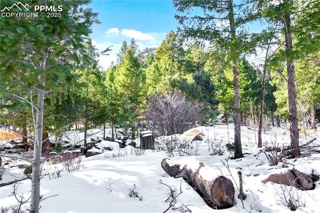 Listing photo 3 for 0 Rock Ridge Rd, Palmer Lake CO 80133