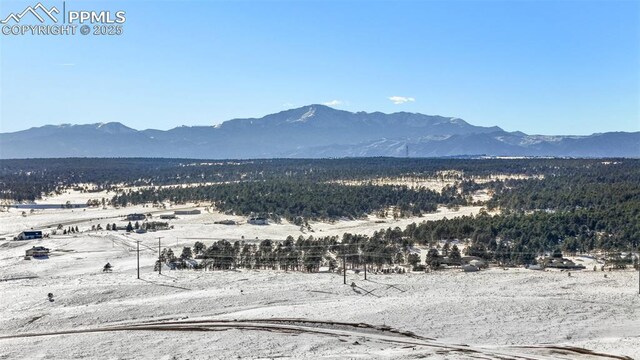 11009 Alamar Way, Colorado Springs, CO 80908