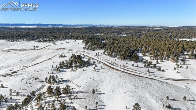 11009 Alamar Way, Colorado Springs, CO 80908