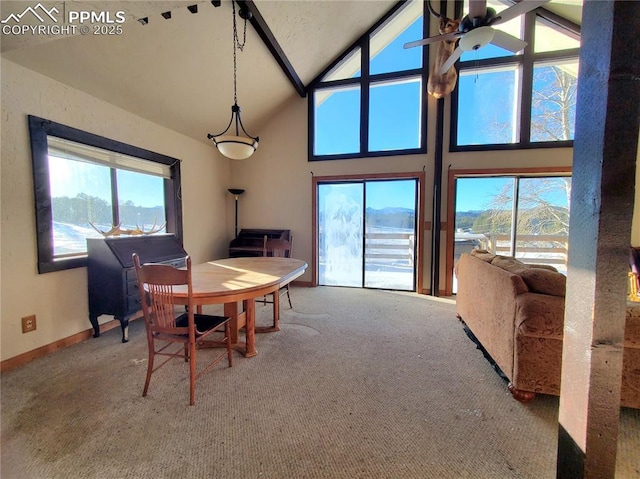 dining area featuring ceiling fan, a healthy amount of sunlight, carpet flooring, and high vaulted ceiling