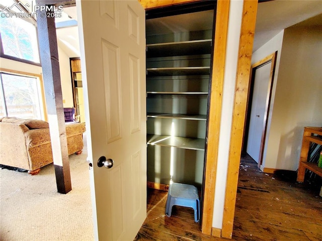 view of closet