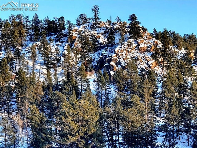 view of snowy landscape